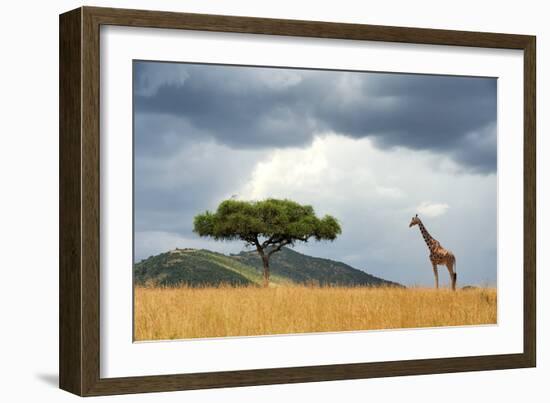 Beautiful Landscape with Nobody Tree and Gireffe in Africa-Volodymyr Burdiak-Framed Photographic Print