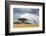 Beautiful Landscape with Nobody Tree and Gireffe in Africa-Volodymyr Burdiak-Framed Photographic Print