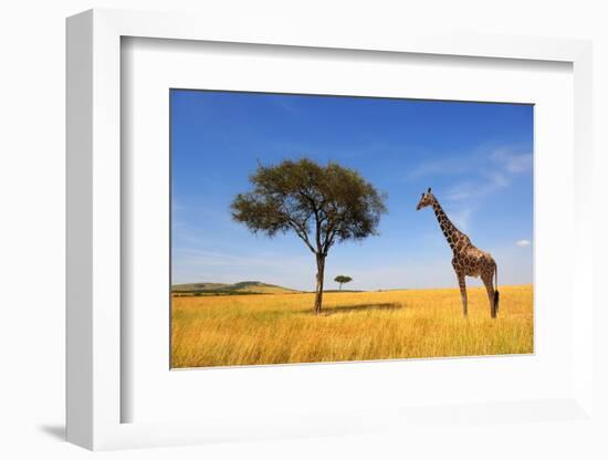 Beautiful Landscape with Tree and Giraffe in Africa-Volodymyr Burdiak-Framed Photographic Print