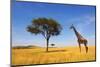 Beautiful Landscape with Tree and Giraffe in Africa-Volodymyr Burdiak-Mounted Photographic Print