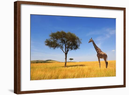 Beautiful Landscape with Tree and Giraffe in Africa-Volodymyr Burdiak-Framed Photographic Print