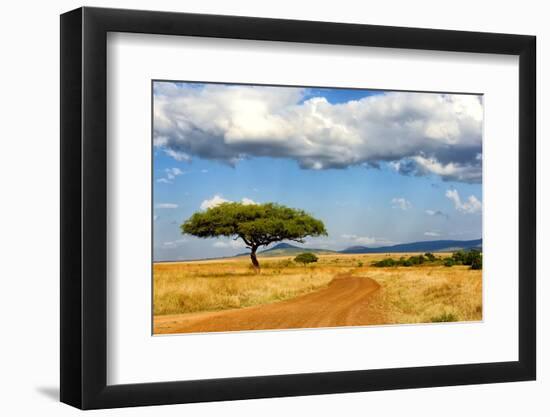 Beautiful Landscape with Tree in Africa-Volodymyr Burdiak-Framed Photographic Print