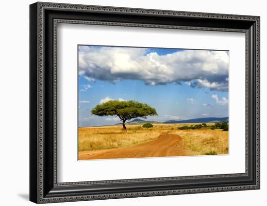 Beautiful Landscape with Tree in Africa-Volodymyr Burdiak-Framed Photographic Print