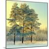 Beautiful Landscape with Winter Forest-DeSerg-Mounted Photographic Print