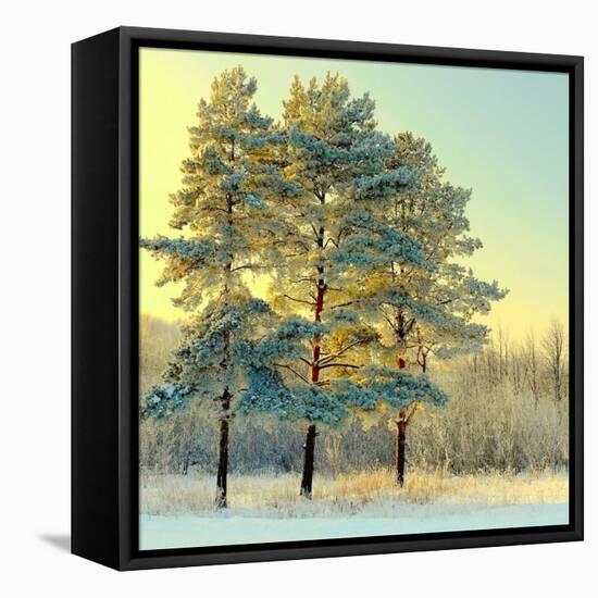 Beautiful Landscape with Winter Forest-DeSerg-Framed Stretched Canvas