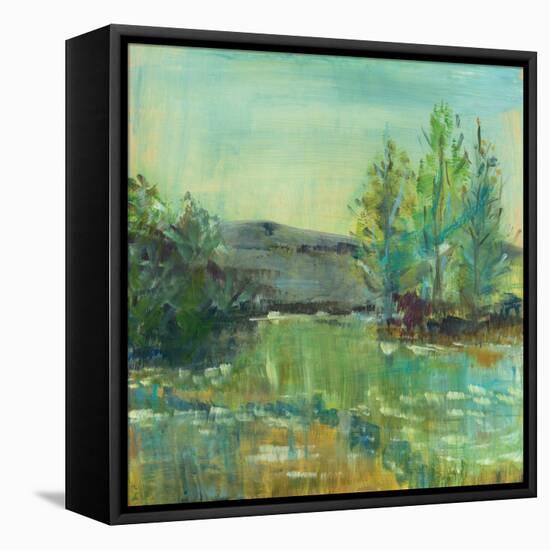 Beautiful Life-Sue Schlabach-Framed Stretched Canvas