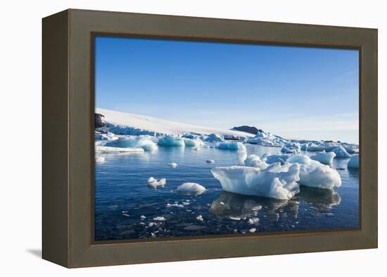 Beautiful little icebergs, Hope Bay, Antarctica, Polar Regions-Michael Runkel-Framed Premier Image Canvas