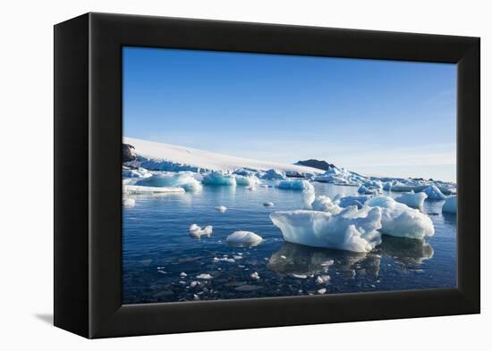 Beautiful little icebergs, Hope Bay, Antarctica, Polar Regions-Michael Runkel-Framed Premier Image Canvas