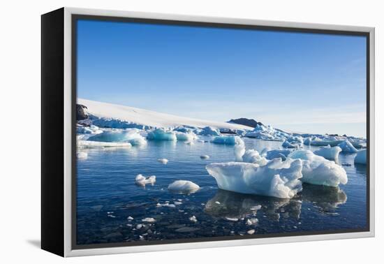 Beautiful little icebergs, Hope Bay, Antarctica, Polar Regions-Michael Runkel-Framed Premier Image Canvas