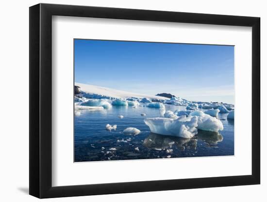 Beautiful little icebergs, Hope Bay, Antarctica, Polar Regions-Michael Runkel-Framed Photographic Print