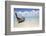 Beautiful Longtail Boat on the Sand Seashore-Alexander Yakovlev-Framed Photographic Print