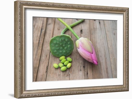 Beautiful Lotus Blooming in Summer-Wu Kailiang-Framed Photographic Print