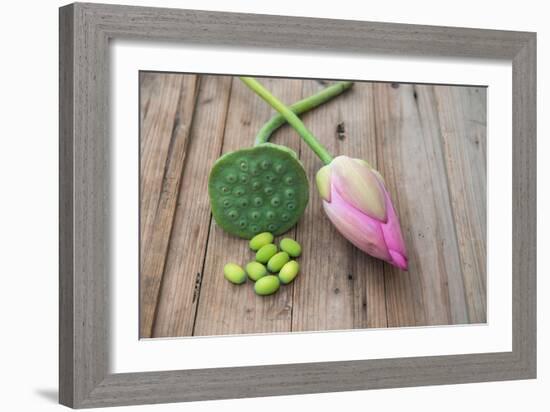 Beautiful Lotus Blooming in Summer-Wu Kailiang-Framed Photographic Print