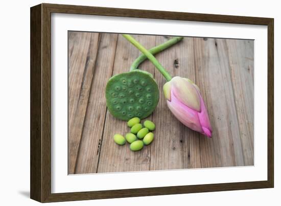 Beautiful Lotus Blooming in Summer-Wu Kailiang-Framed Photographic Print