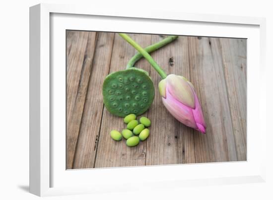 Beautiful Lotus Blooming in Summer-Wu Kailiang-Framed Photographic Print