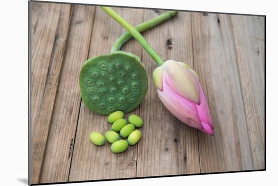 Beautiful Lotus Blooming in Summer-Wu Kailiang-Mounted Photographic Print