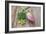 Beautiful Lotus Blooming in Summer-Wu Kailiang-Framed Photographic Print