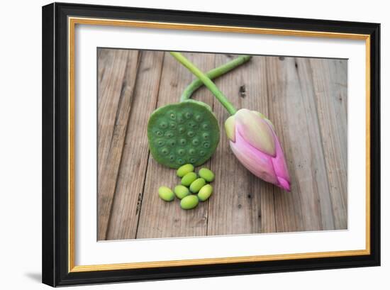 Beautiful Lotus Blooming in Summer-Wu Kailiang-Framed Photographic Print