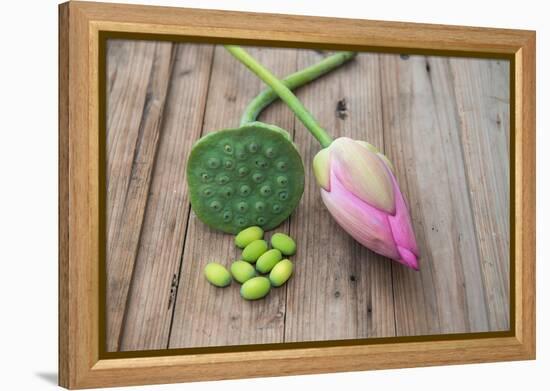 Beautiful Lotus Blooming in Summer-Wu Kailiang-Framed Premier Image Canvas