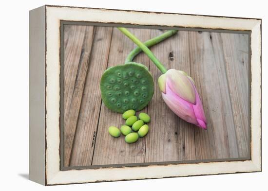 Beautiful Lotus Blooming in Summer-Wu Kailiang-Framed Premier Image Canvas