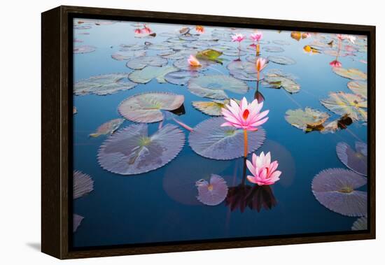 Beautiful Lotus Flower Outdoor-kridsada tipchot-Framed Premier Image Canvas
