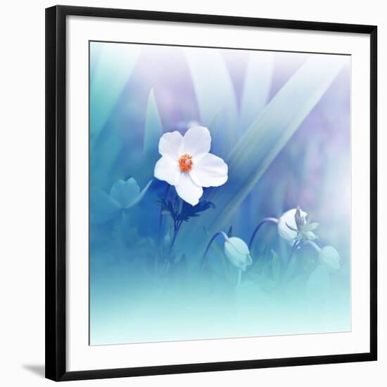 Photo, , large