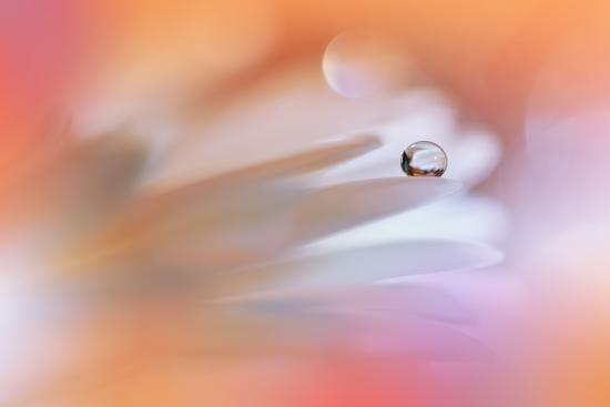 Photo, , large