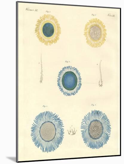 Beautiful Medusas-null-Mounted Giclee Print
