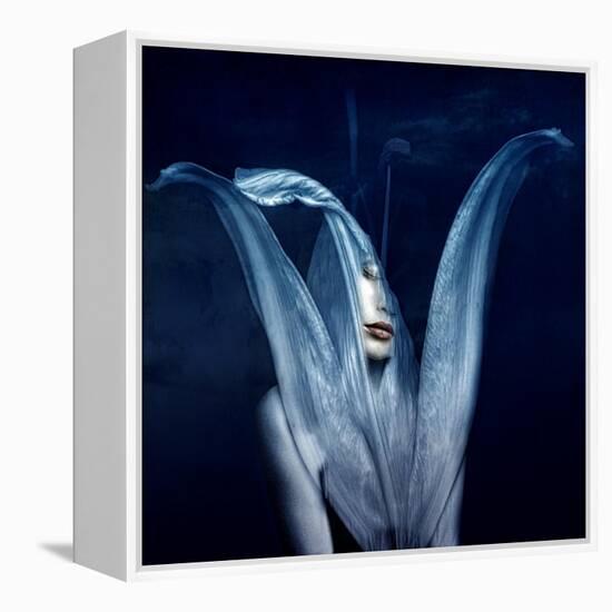 beautiful monsters 3-Johan Lilja-Framed Premier Image Canvas