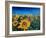 Beautiful Morning At Sunflower Fields-Markus Bleichner-Framed Art Print