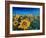 Beautiful Morning At Sunflower Fields-Markus Bleichner-Framed Art Print