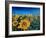 Beautiful Morning At Sunflower Fields-Markus Bleichner-Framed Art Print