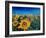 Beautiful Morning At Sunflower Fields-Markus Bleichner-Framed Art Print