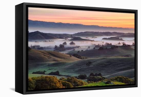 Beautiful Morning Hills and Fog Petaluma Sonoma California-Vincent James-Framed Premier Image Canvas