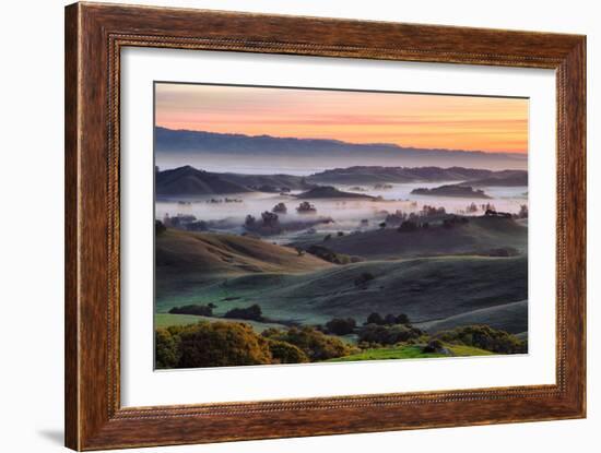 Beautiful Morning Hills and Fog Petaluma Sonoma California-Vincent James-Framed Photographic Print