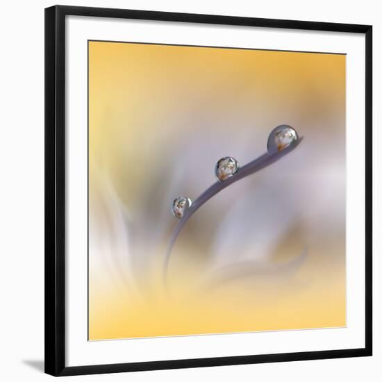 Photo, , large
