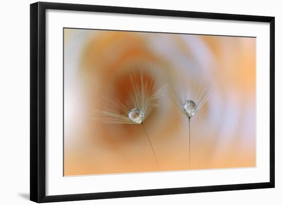 Photo, , large