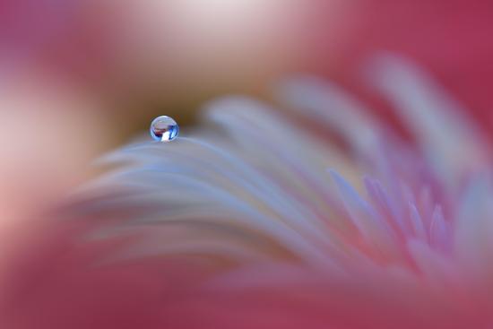 Photo, , large