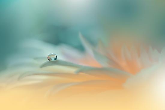 Photo, , large