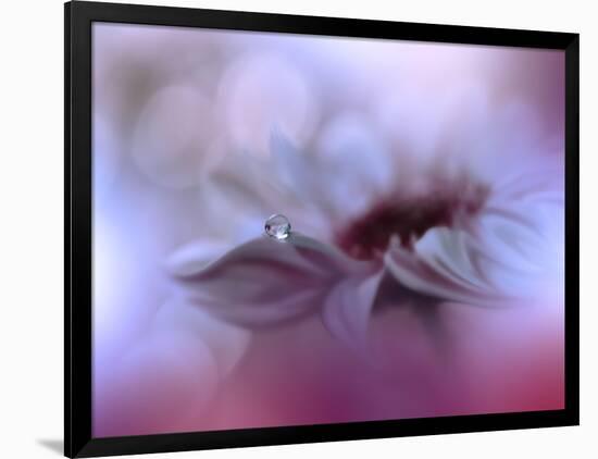 Photo, , large
