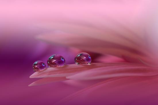 Photo, , large