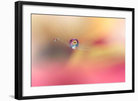 Photo, , large