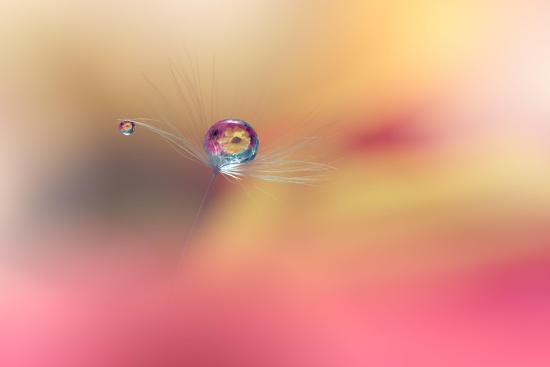 Photo, , large