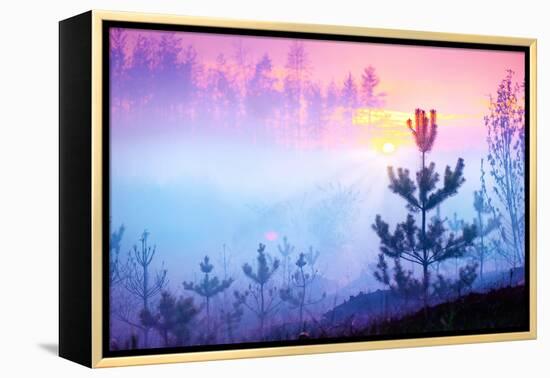 Beautiful Nature Sunrise Foggy Landscape. Misty Forest. Spring Nature. Park with Trees. Tranquil Ba-Subbotina Anna-Framed Premier Image Canvas