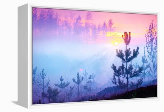 Beautiful Nature Sunrise Foggy Landscape. Misty Forest. Spring Nature. Park with Trees. Tranquil Ba-Subbotina Anna-Framed Premier Image Canvas