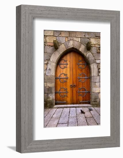 Beautiful Old Wooden Door with Iron Ornaments in a Medieval Castle-ccaetano-Framed Photographic Print