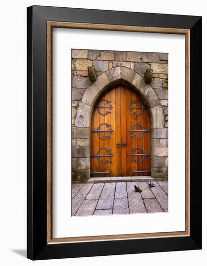 Beautiful Old Wooden Door with Iron Ornaments in a Medieval Castle-ccaetano-Framed Photographic Print