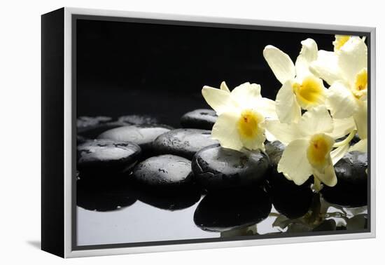 Beautiful Orchid and Stone with Water Reflection-crystalfoto-Framed Premier Image Canvas