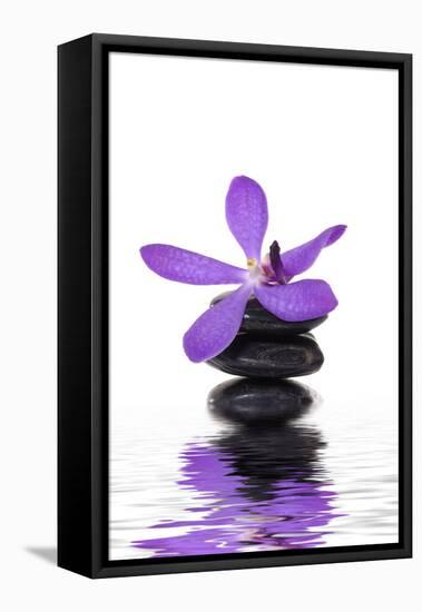 Beautiful Orchid and Stone with Water Reflection-crystalfoto-Framed Premier Image Canvas