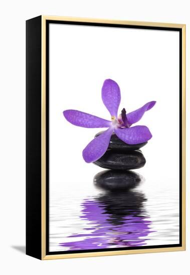 Beautiful Orchid and Stone with Water Reflection-crystalfoto-Framed Premier Image Canvas